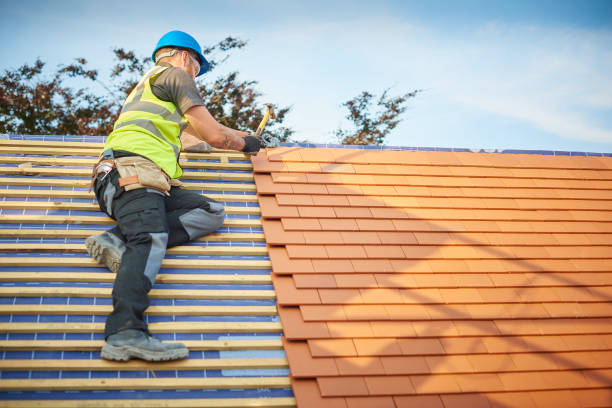 Best Gutter Replacement  in Springdale, AR